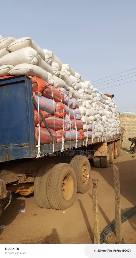 Aflatoxins Free Maize