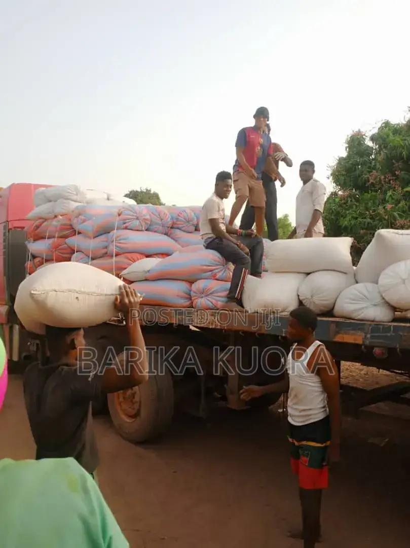 Aflatoxins Free Maize