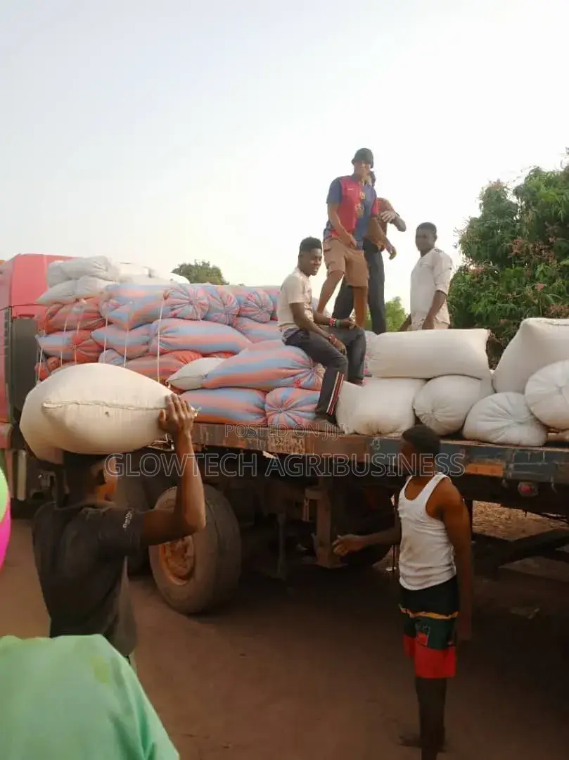 Aflatoxins Free Maize