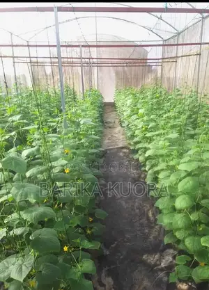 Greenhouse Manufacturing and Installation