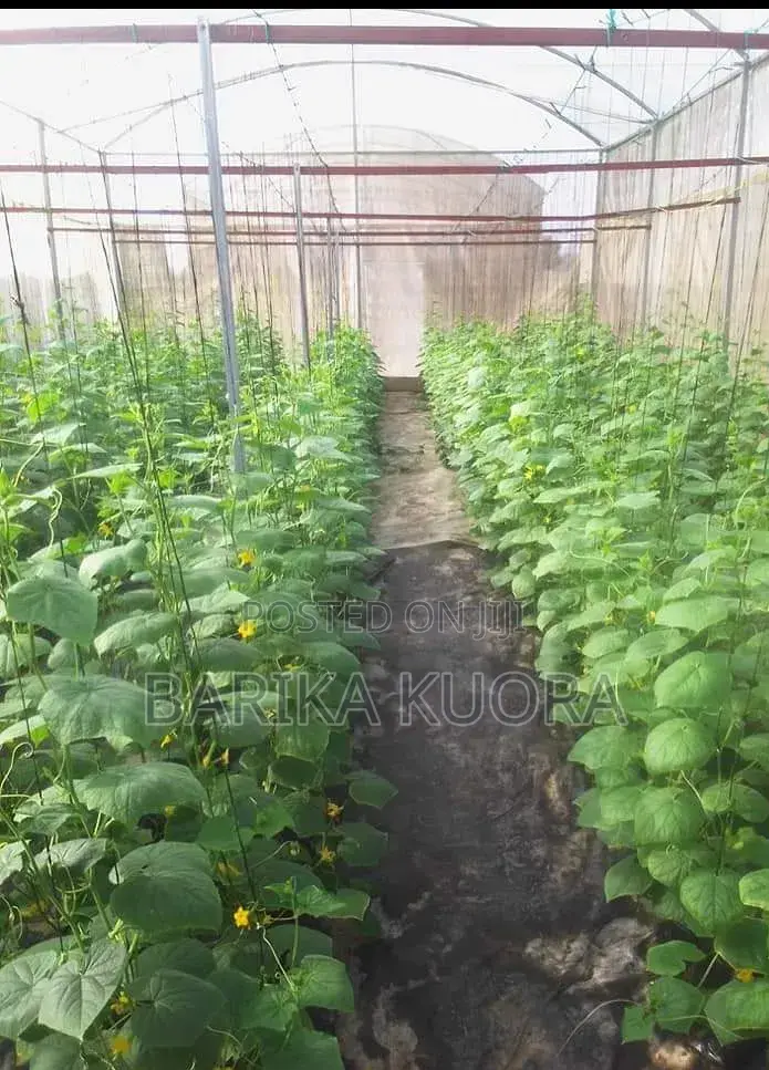 Greenhouse Manufacturing and Installation