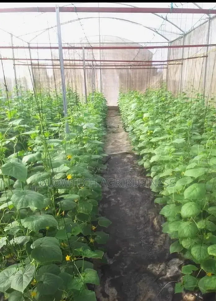 Greenhouse Manufacturing and Installation