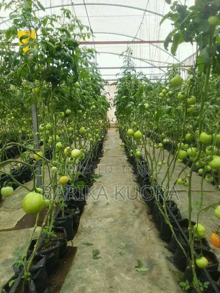 Greenhouse Manufacturing and Installation