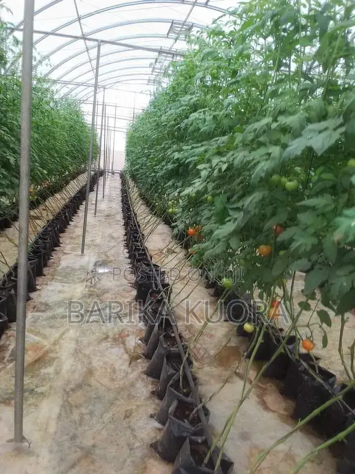 Greenhouse Manufacturing and Installation