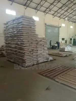 Local and Paddy Rice