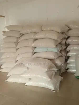 Local and Paddy Rice