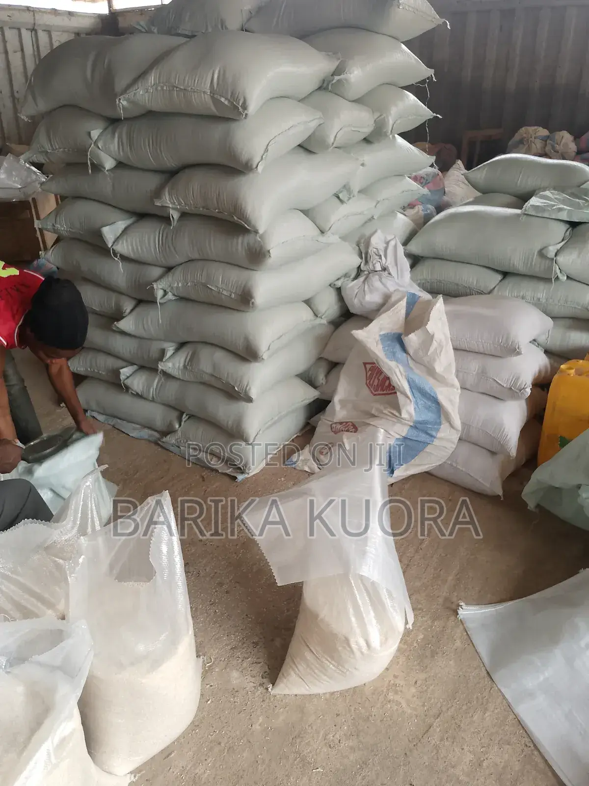 Local and Paddy Rice