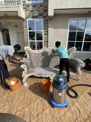 Royal or Louis-Style Furniture Cleaning