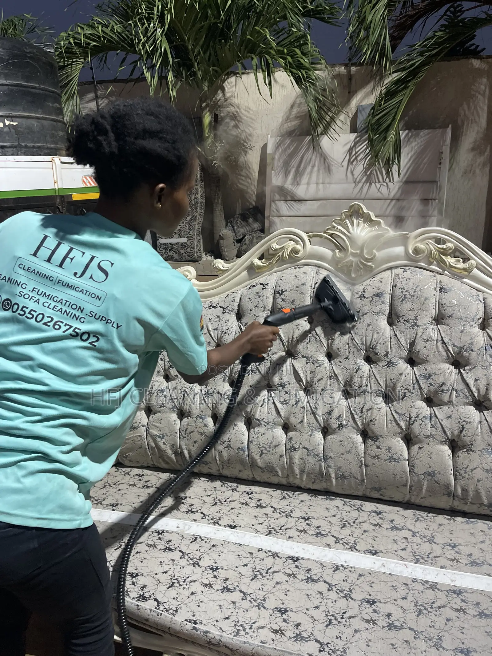 Royal or Louis-Style Furniture Cleaning