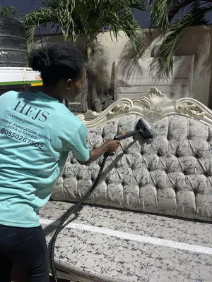 Royal or Louis-Style Furniture Cleaning