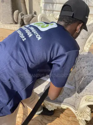 Royal or Louis-Style Furniture Cleaning