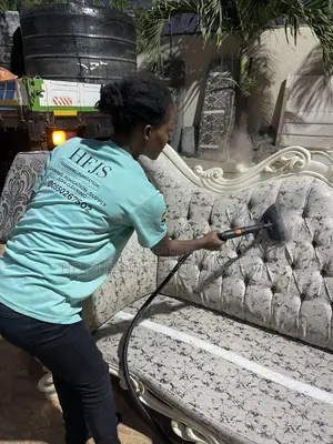 Royal or Louis-Style Furniture Cleaning