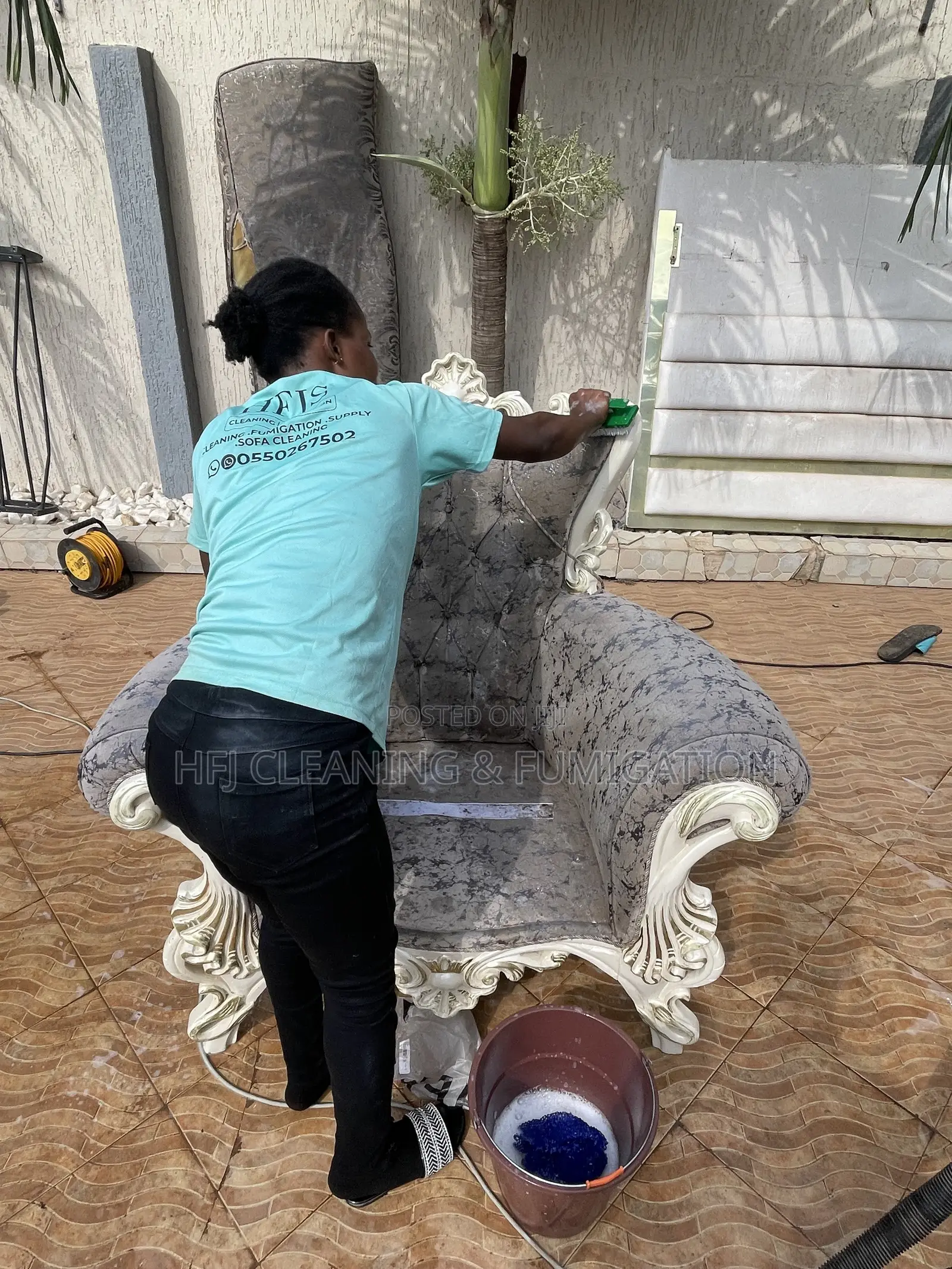 Royal or Louis-Style Furniture Cleaning