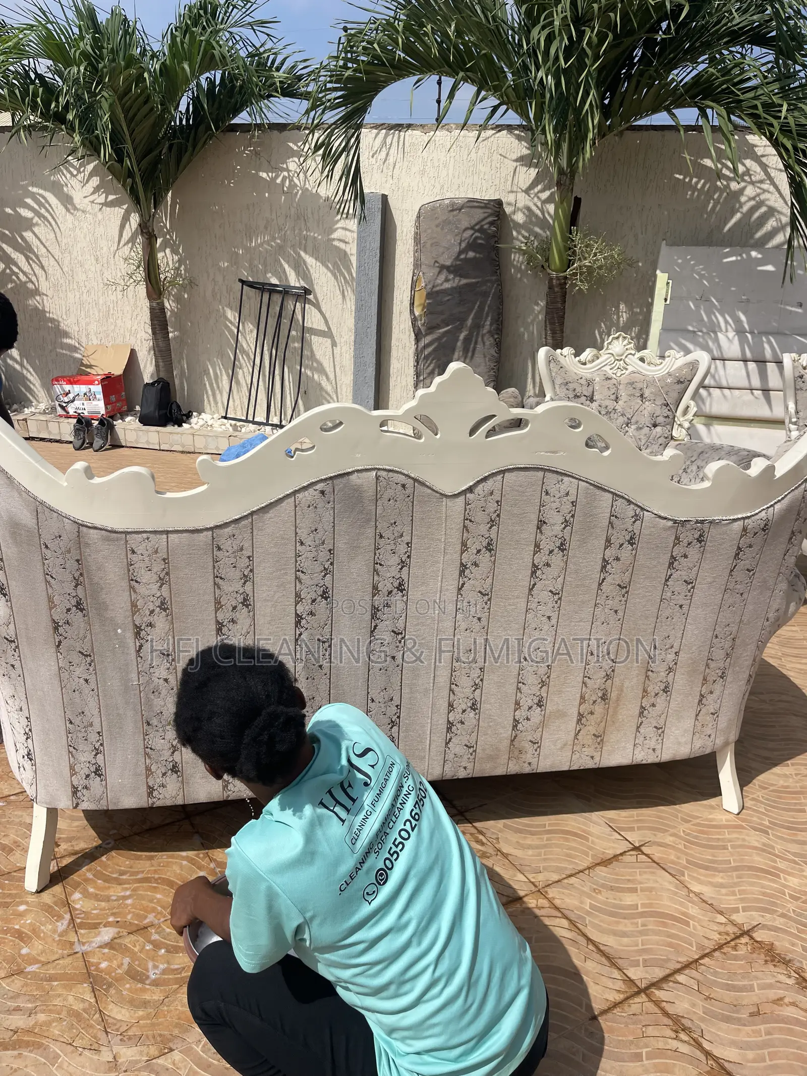 Royal or Louis-Style Furniture Cleaning