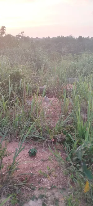 Half Plot With 3 BDRM Foundation, Sand Quarry Dust at Asonomaso SAFO