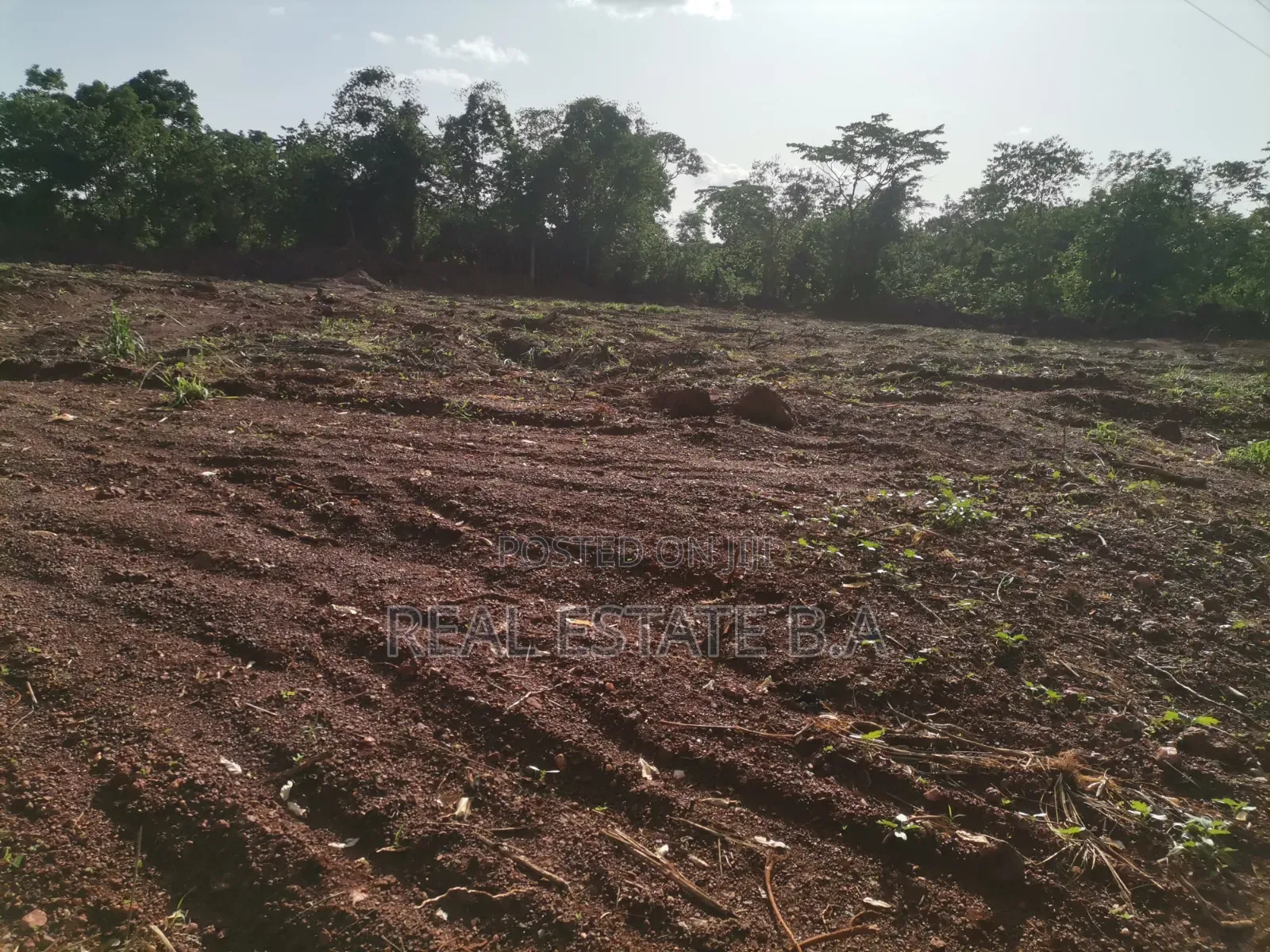 Genuine Plots of Lands 90x100 Each by the Roadside Along at Yamfo