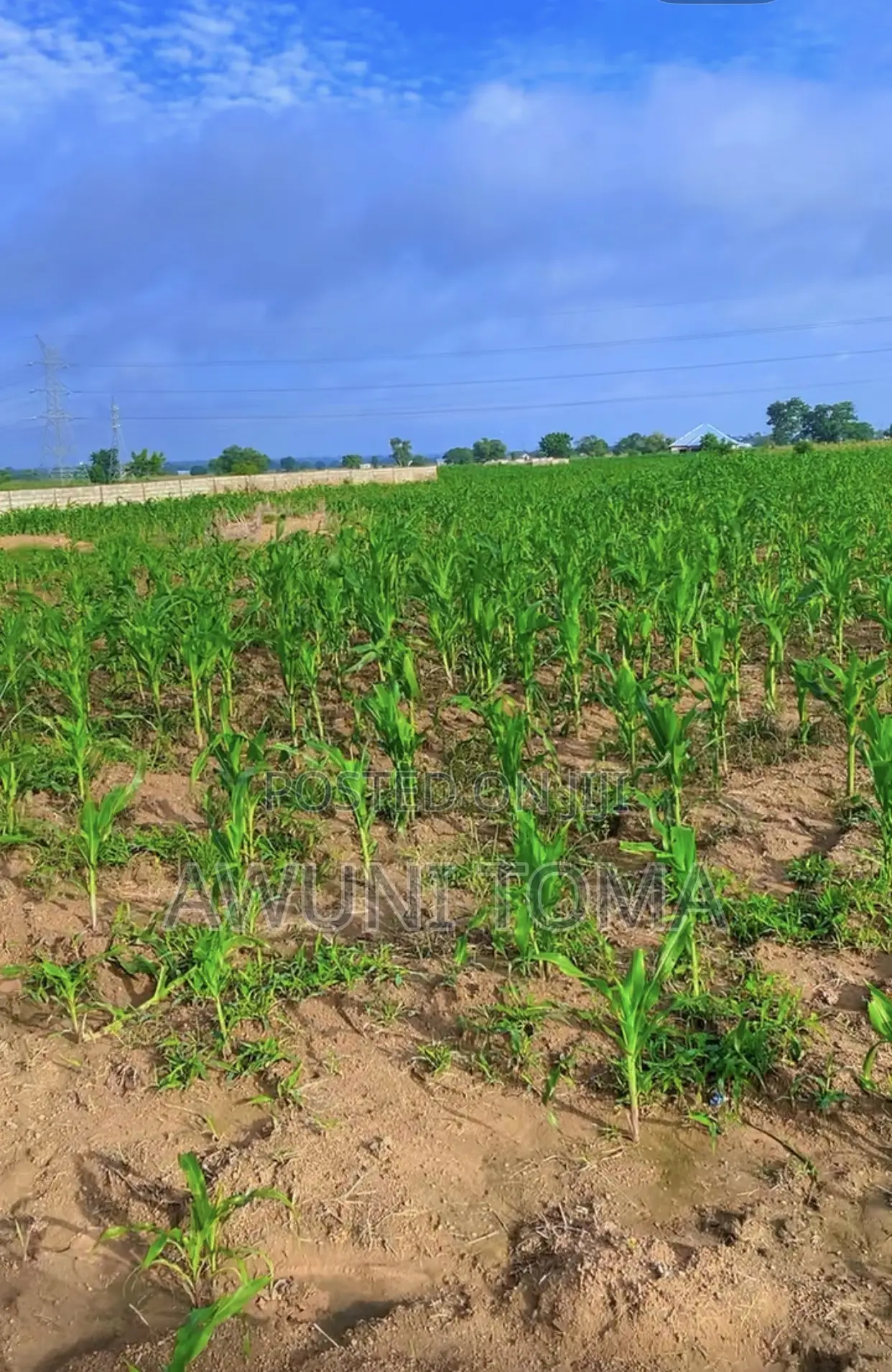 6 Plots of Land for Sale at Datoyili on Tamale Kumasi Main Road