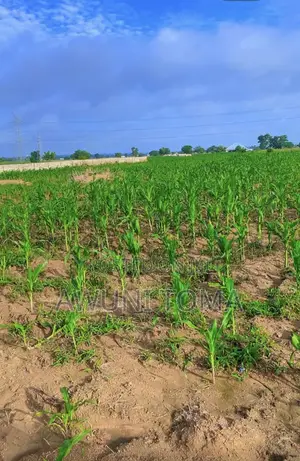 6 Plots of Land for Sale at Datoyili on Tamale Kumasi Main Road
