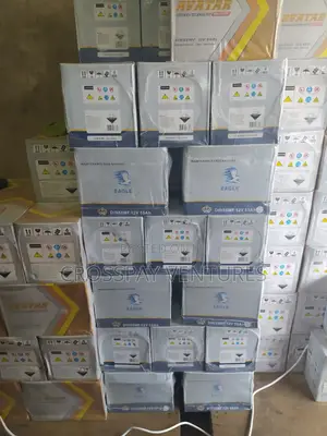 13 Plate Eagle Germany Technology Battery