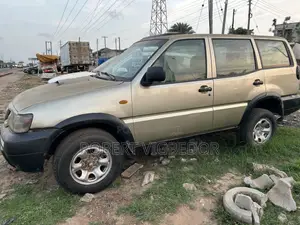 Nissan Terrano 2004 Gold