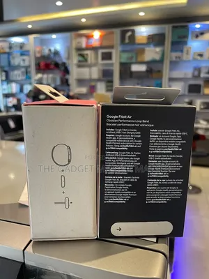 Google Fitbit Air