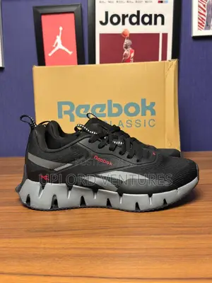 Reebok Zig Dynamica 2 Sneakers