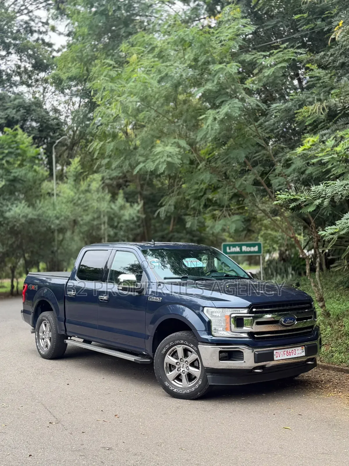New Ford F-150 2019 Blue
