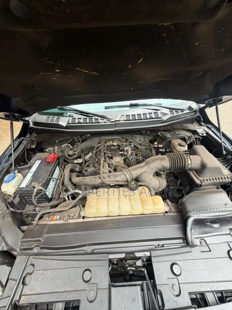 New Ford F-150 2019 Blue
