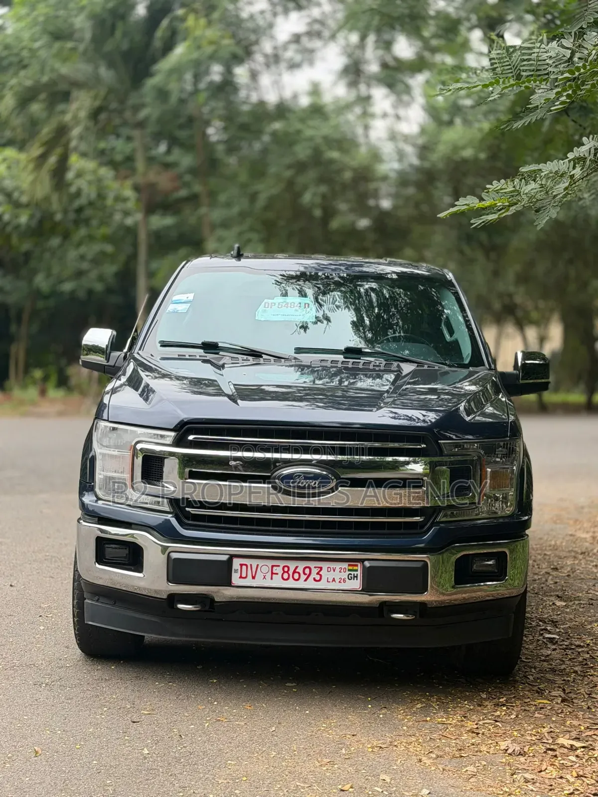New Ford F-150 2019 Blue