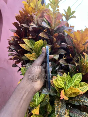 Apple iPhone 15 Pro Max 256 GB Blue