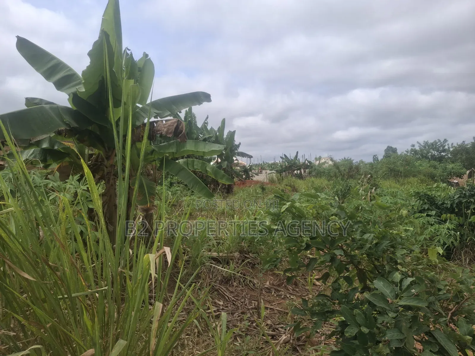 Rresidential Plot for Sale at Kwawoma