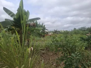 Rresidential Plot for Sale at Kwawoma