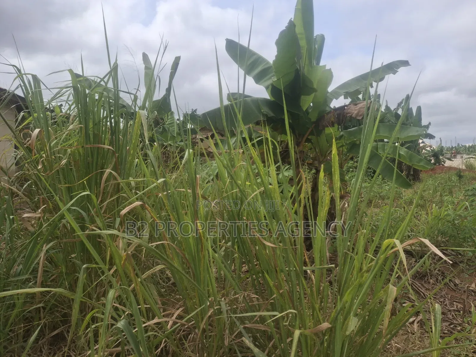Rresidential Plot for Sale at Kwawoma
