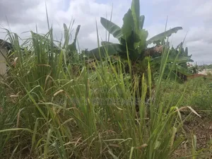 Rresidential Plot for Sale at Kwawoma