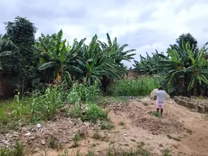 1 Half Plots at Ofankor Asofan for Sale
