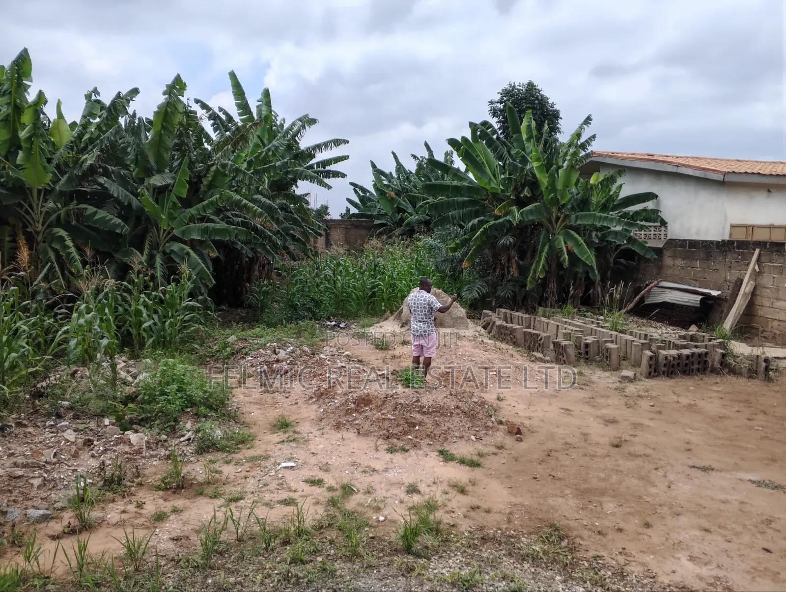 1 Half Plots at Ofankor Asofan for Sale