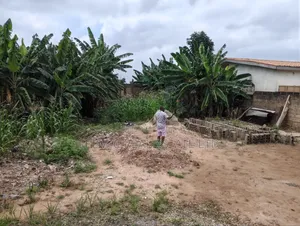 1 Half Plots at Ofankor Asofan for Sale