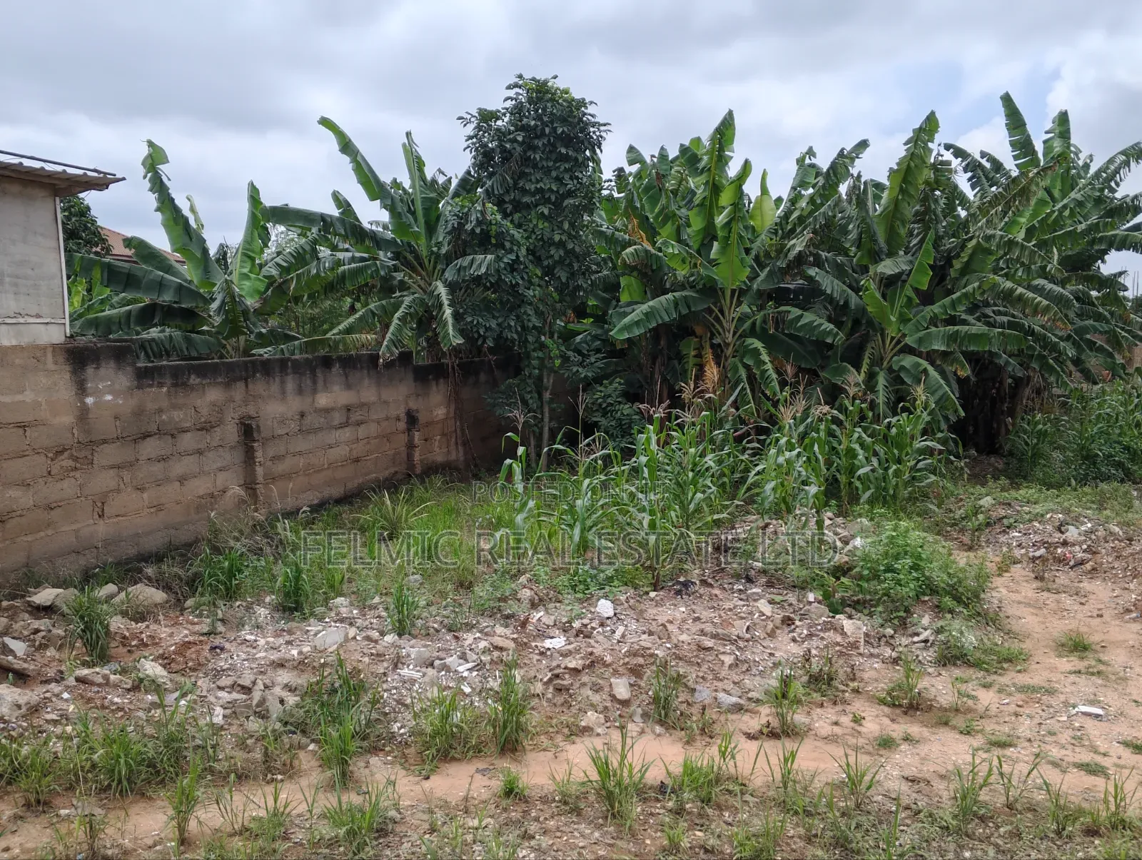 1 Half Plots at Ofankor Asofan for Sale
