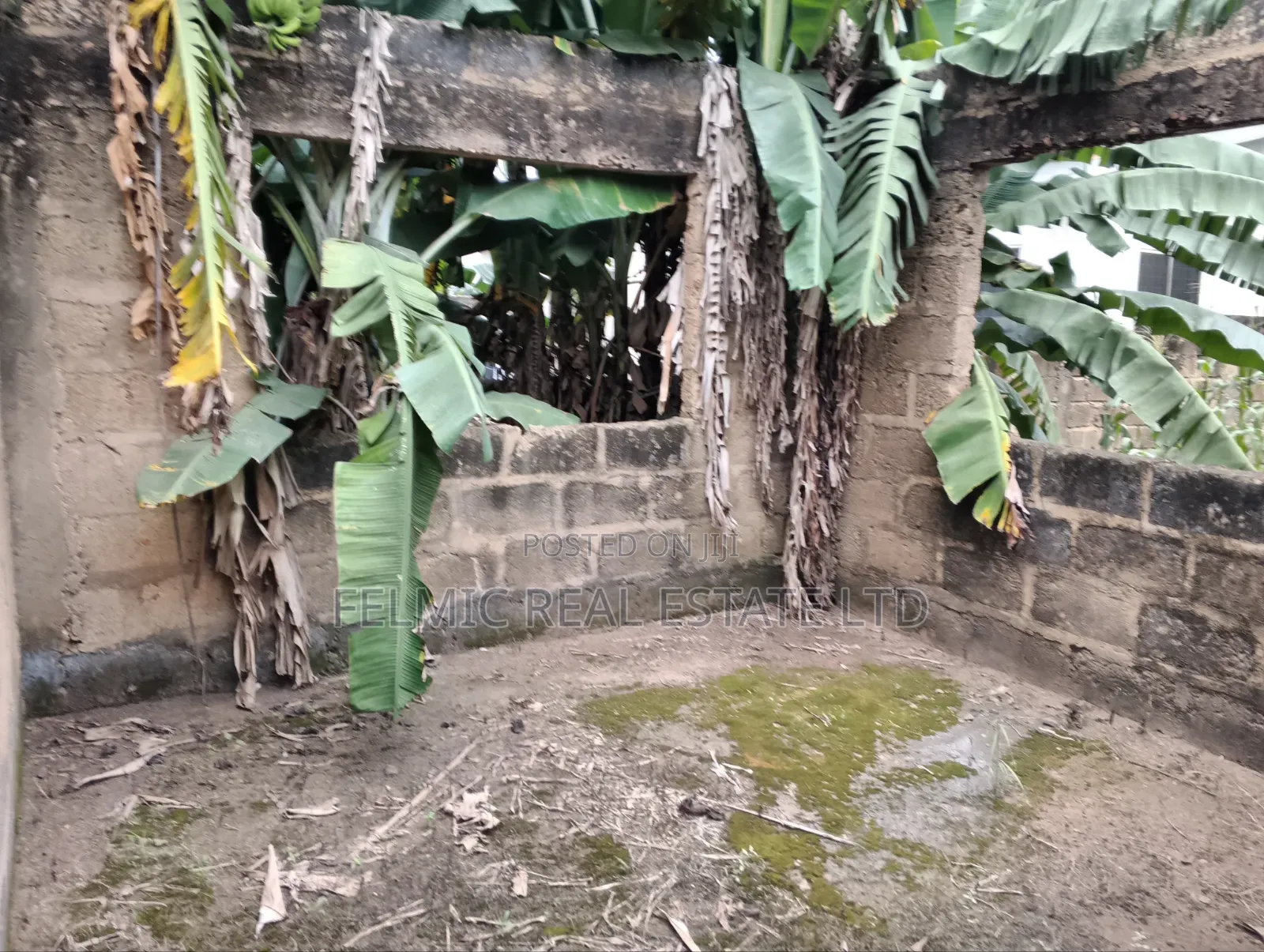1 Half Plots at Ofankor Asofan for Sale