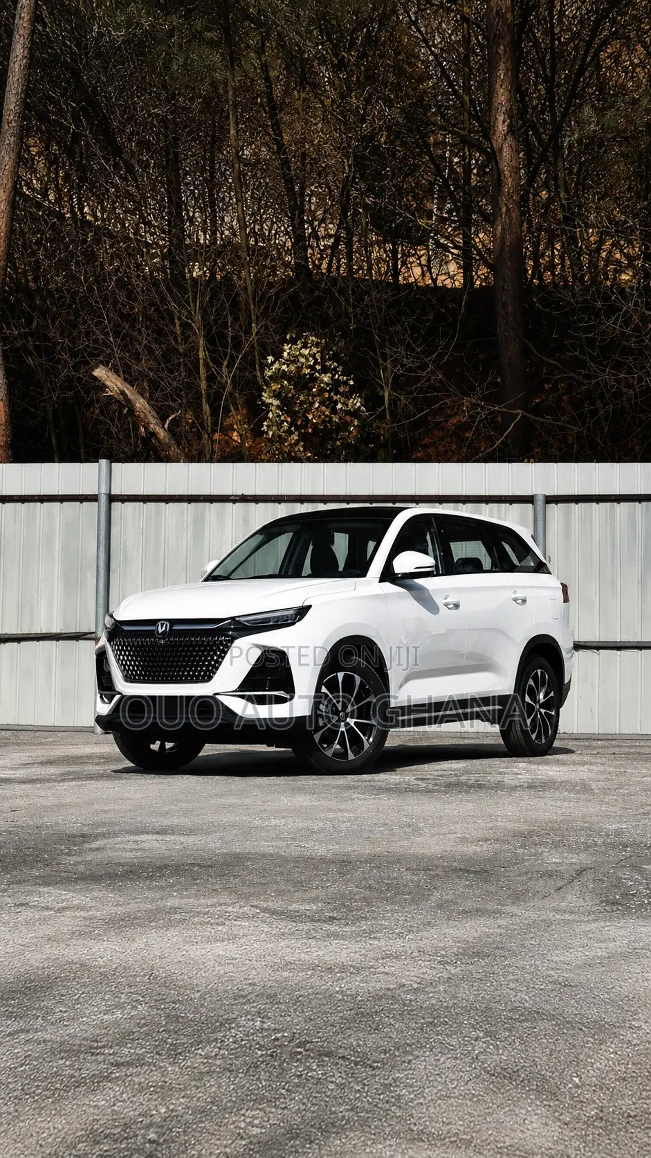 Changan X7 Plus 1.5 Turbo DCT FWD 2024 White