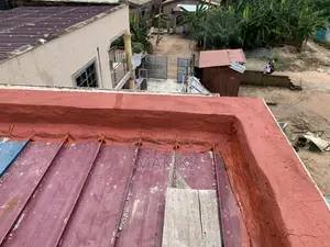 House Painting and Roof Leakage Repairs
