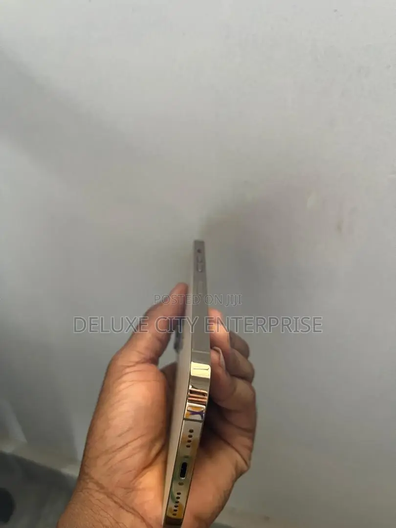 Apple iPhone 12 Pro Max 256 GB Gold