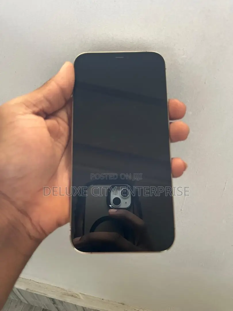 Apple iPhone 12 Pro Max 256 GB Gold