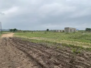 Big Plot, Big Value