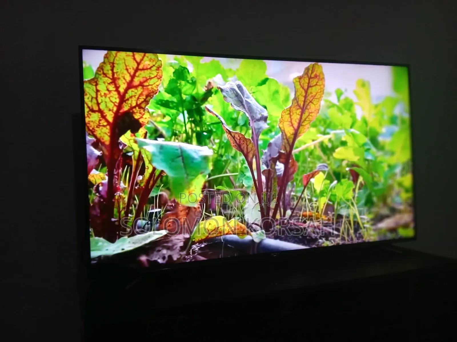Sony Bravia TV
