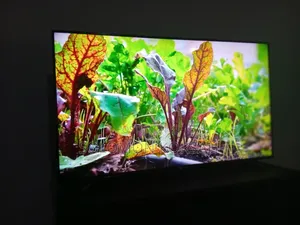 Sony Bravia TV