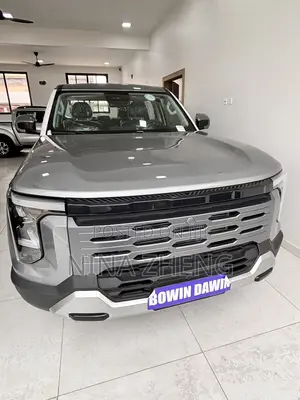 New Nissan Z9 2.0T Petrol 4WD 2025 Gray
