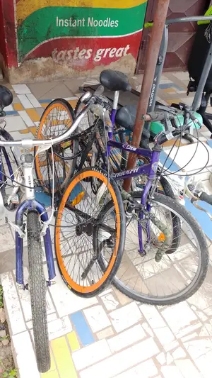Mountain Bike