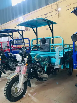 New Tricycle 2024 Beige