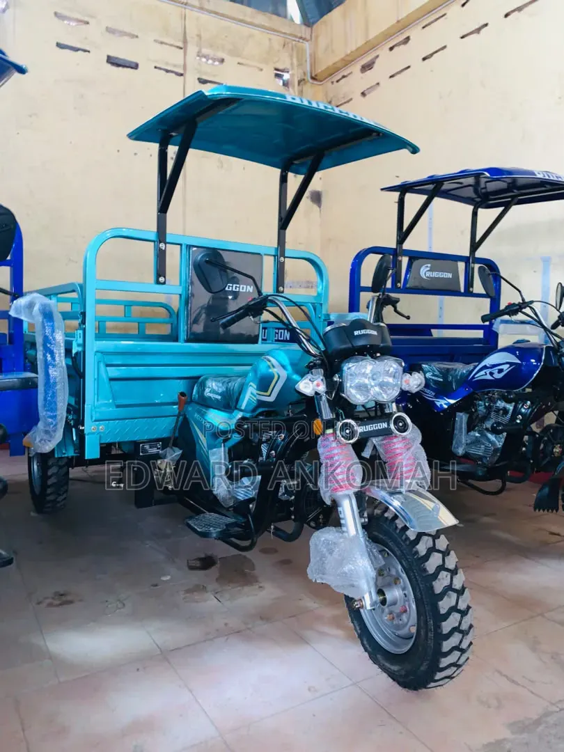New Tricycle 2024 Beige